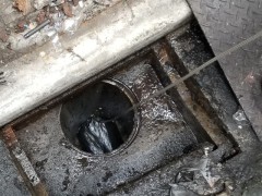 排水管トーラー清掃