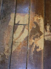 フローリング―補修前